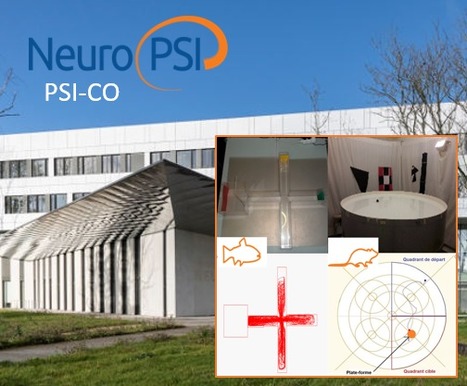FOCUS PLATEFORME : AMATrace s&rsquo;agrandit, se diversifie, se perfectionne &hellip; et change de nom : PSI-CO est n&eacute;e (NeuroPSI) | Life Sciences Universit&eacute; Paris-Saclay | Scoop.it