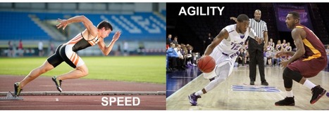 Marketing - (via Speed vs Agility – What’s the difference in... | Tampa Florida | Scoop.it