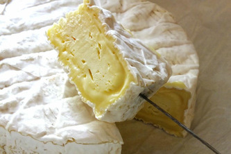 Camembert, coulommiers, brie... Plusieurs fromages de la laiterie familiale creusoise Chavegrand renvoyés pour suspicion de listéria | Politiques publiques et société | Scoop.it