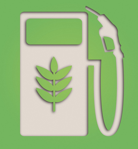 Agrocarburant : enjeux d’un scandale agricole et environnemental | Economie Responsable et Consommation Collaborative | Scoop.it