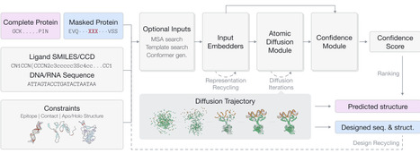 GeoFlow-V2: A Unified Atomic Diffusion Model for Protein Structure Prediction and De Novo Design | Brvbi | RMH | Scoop.it