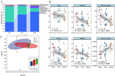 Positive and negative responses of AMF community and diazotrophic community to peanut genetic diversity | Plant-Microbe Symbiosis | Scoop.it