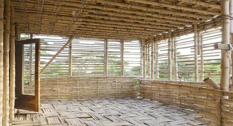 Types of Bamboo in Construction | Importance of Bamboo in Construction | Construction - BIM - Revit Global | Scoop.it