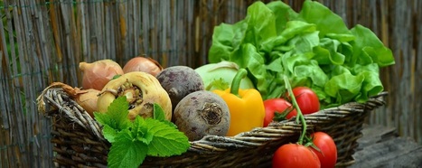 "Une ferme en ville" s'installe à Bordeaux pour promouvoir l'agriculture locale | Agriculture et communication positive | Scoop.it