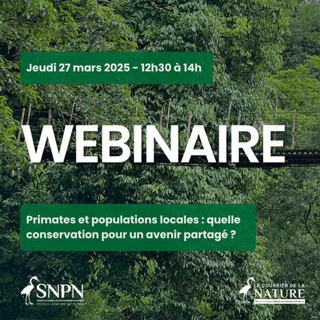 Webinaire "Primates et populations locales : quelle conservation pour un avenir partagé ?" | Ecosystèmes Tropicaux | Scoop.it