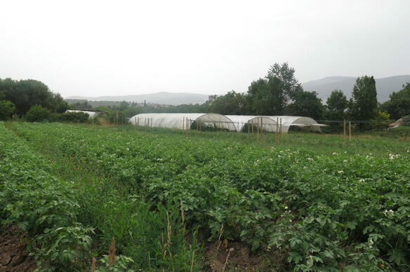 Fermes municipales : du manger bio au vivre beau