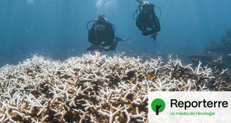 Chaleur, s&eacute;cheresses, pluies... El&nbsp;Ni&ntilde;o pourrait revenir en 2026 | Plan&egrave;te DDurable | Scoop.it