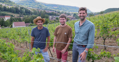 Ornans. La vigne municipale, un patrimoine &agrave; r&eacute;inventer au pays de Courbet | Revue de presse | L'habitat & son environnement dans le Doubs : Architecture. Urbanisme. Environnement. Paysage. Logement | Scoop.it