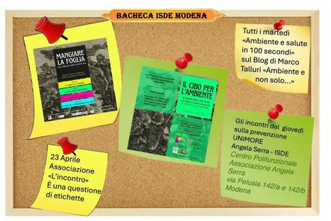 Bacheca di ISDE Modena | One Health News: salute, ambiente e società - A cura di ISDE, Festival della salute, Marketing sociale. N°14 | Scoop.it