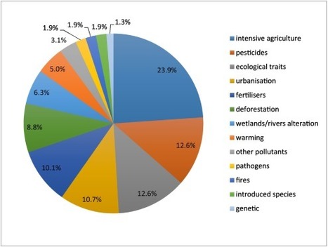 Comment expliquer l’hécatombe des insectes ? | EntomoNews | Scoop.it