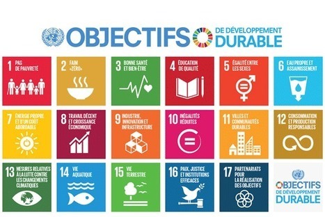 Développement durable : l'ONU lance une application mobile pour mobiliser les citoyens | Vers la transition des territoires ! | Scoop.it