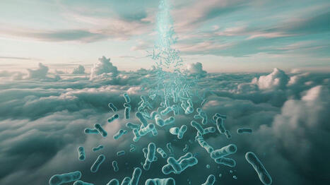 Ces microbes voyagent à travers les continents, à plusieurs milliers de kilomètres au-dessus de nos têtes | business analyst | Scoop.it