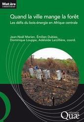 Les d&eacute;fis du bois-&eacute;nergie en Afrique centrale | &Eacute;cosyst&egrave;mes Tropicaux | Scoop.it