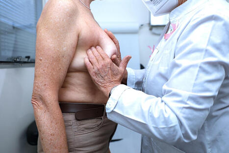 SANTE : Cancer du sein post-m&eacute;nopause : les fruits et l&eacute;gumes bio associ&eacute;s &agrave; une baisse du risque | CIHEAM Press Review | Scoop.it