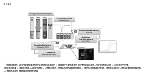 WO2014037552A1 METHOD FOR IDENTIFYING SUBGROUPS OF CIRCULATING TUMOR CELLS (CTCS) IN THE CTC POPULATION OF A BIOLOGICAL SAMPLE | from Flow Cytometry to Cytomics | Scoop.it
