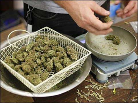 Medical Marijuana Business Signs Contract To Buy Land In Fall River Biopark | ReactNow - Latest News updated around the clock | Scoop.it