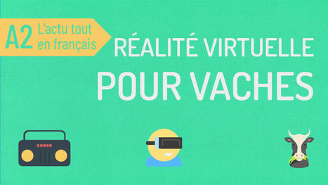 Actu #63 : réalité virtuelle pour les vaches | FLEursdeFLE | Scoop.it