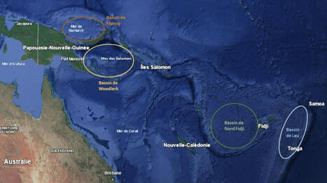 Forages en eaux profondes : des esp&egrave;ces rares des fonds marins du Pacifique menac&eacute;es par les ambitions mini&egrave;res des industriels | Biodiversit&eacute;, &Eacute;cologie et Environnement | Scoop.it
