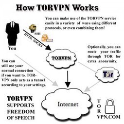 Access Internet Remotely and Anonymously with TorVPN Free VPN | Free Download Buzz | Softwares, Tools, Application | Scoop.it