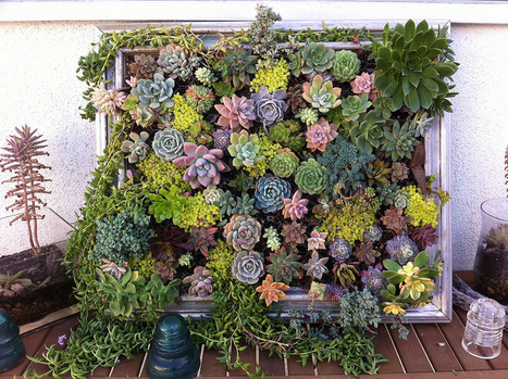 Tutorial - Framed Vertical Succulent Garden... | Upcycled Garden Style | Scoop.it