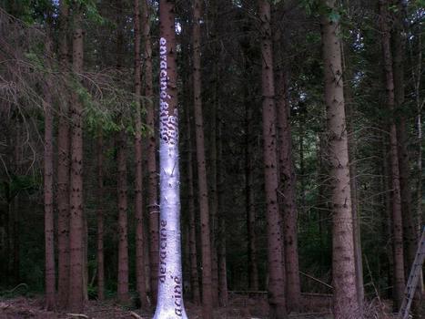 Jarek Lustych: Uprooted / Rooted | Art Installations, Sculpture, Contemporary Art | Scoop.it