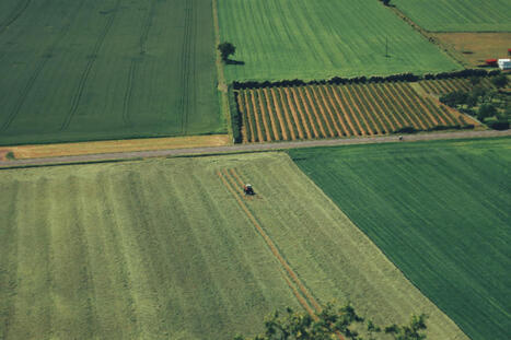 Cadmium : la d&eacute;pollution des sols agricoles n'est "pas pour demain" | Plan&egrave;te DDurable | Scoop.it
