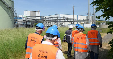 Verdun. &Agrave; Baleycourt, Avril fait du colza meusien un levier de souverainet&eacute; | ITERG - Veille sectorielle | Scoop.it