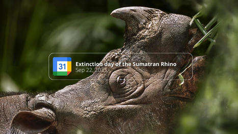 Le WWF détourne Google Agenda pour vous rappeler les dates d’extinction des espèces | Boîte à outils numériques | Scoop.it