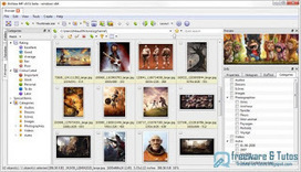 XnViewMP : la version avanc&eacute;e de XnView | Diaporamas attractifs | Scoop.it