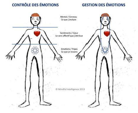 La mindfulness, un outil de bien-être au travail | Formations pour Cadres | Scoop.it