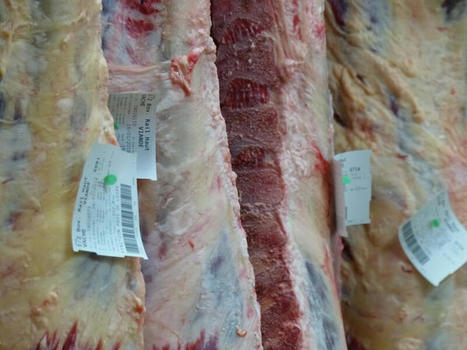 La production de viande bovine dans l’UE a reculé au premier semestre | Actualité Bétail | Scoop.it