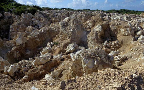 TUNISIE: Le gouvernement a adopté un programme d’une durée de 5 ans (2025-2030) visant à porter la production nationale de phosphate à 14 millions de tonnes d’ici 2030 | MED-Amin network | Scoop.it