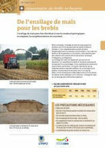 De l’ensilage de maïs pour les brebis - Inn'ovin | Pour innover en agriculture | Scoop.it