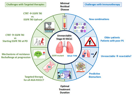 Cancer du poumon non à petites cellules de stade III non résécable: état de l’art et défis | Life Sciences Université Paris-Saclay | Scoop.it