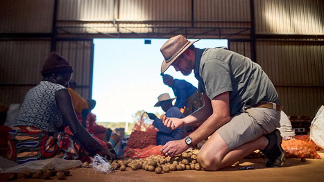 ZIMBABWE: White people return to farming&nbsp; | AFRIQUES | Scoop.it
