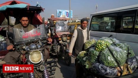 IMF warns Afghanistan's economic slump will impact neighbours | International Economics: IB Economics | Scoop.it