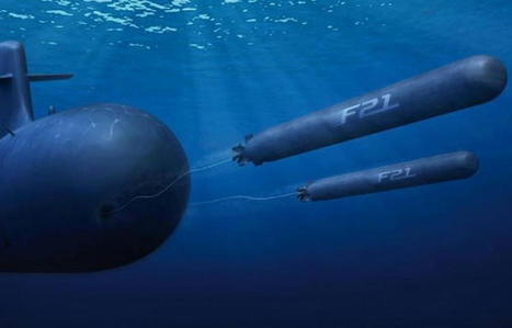 La marine n&eacute;erlandaise renonce aux torpilles am&eacute;ricaines Mk 48 pour se procurer des F21 &laquo;Art&eacute;mis&raquo; aupr&egrave;s de Naval Group | DEFENSE NEWS | Scoop.it