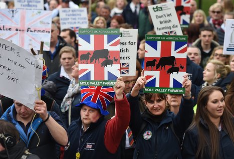 British agriculture: the pressing question in a post-Brexit era | EUROPES | Scoop.it