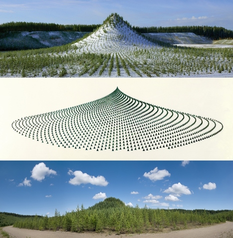 Agnes Denes: Tree Mountain | Art Installations, Sculpture, Contemporary Art | Scoop.it