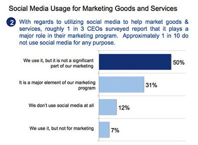 New Survey of CEOs Reveals How They're Using Social Media | C-Level Strategies - Visionary Leadership | Health Care Business | Scoop.it