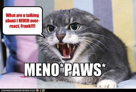 Meno*PAWS* - Lolcats 'n' Funny Pictures of Cats - I Can Has Cheezburger? | Lolcats | Scoop.it