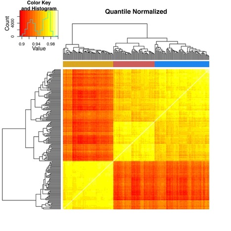 The Functional Consequences of Variation in Transcription Factor Binding | Plant and Seed Biology | Scoop.it