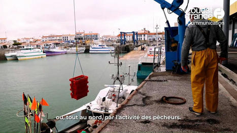 Vidéo. Pêche et agriculture, les coopératives de producteurs servent la dynamique d’un territoire | La Touline - | Scoop.it