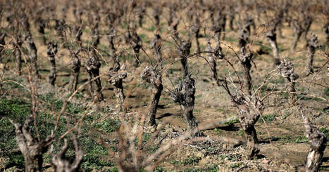 EUROPE : Spring drought threatens Europe’s farms and rivers  | EUROPES | Scoop.it