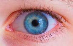 Glaucoma: Los seis tipos | Salud Visual 2.0 | Scoop.it
