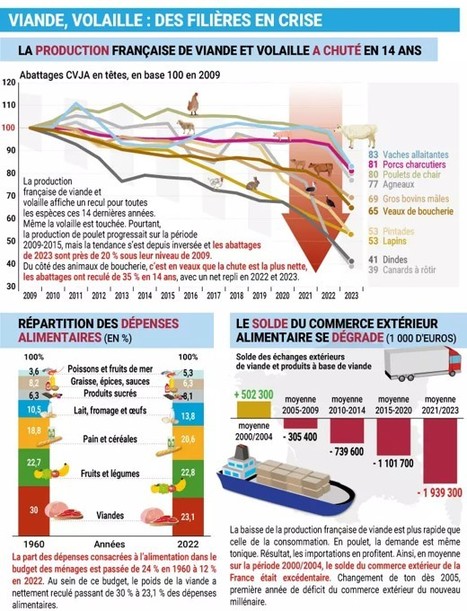 L'infographie sur la crise des filières viandes en France | Lait de Normandie... et d'ailleurs | Scoop.it