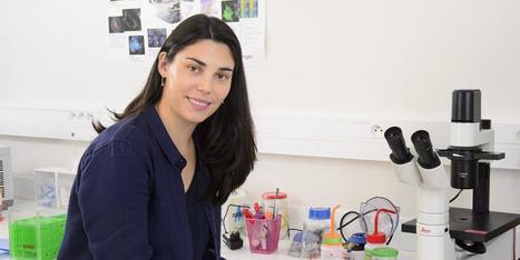 Conférence d’une chercheuse de l’X, lauréate de la Bourse L’Oréal. - Ecole polytechnique | Mécanique des fluides | Scoop.it