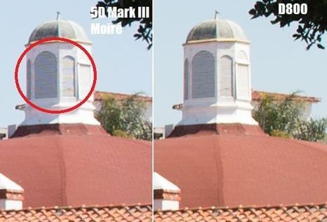 Nikon D800 vs Canon 5D Mark III, nuevamente | FOTOGRAFIA Y VIDEO HDSLR PHOTOGRAPHY & VIDEO | Scoop.it