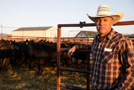 US: Trump&rsquo;s beef plans keep cattle experts concerned | AM&Eacute;RIQUES | Scoop.it
