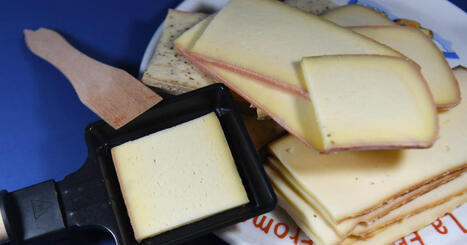 Consommation. Auchan, Grand Frais, Aldi : des lots de fromage à raclette rappelés pour cause de listeria | @ZeHub | Scoop.it